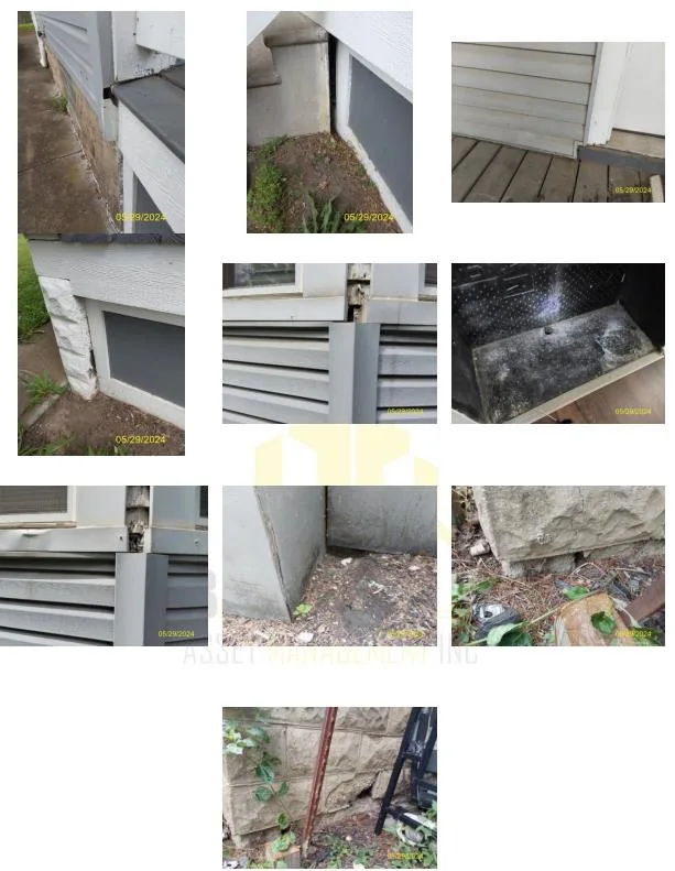 Structural patching and pest control reference photographs